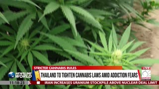 Thailand to tighten cannabis laws amid addiction fears