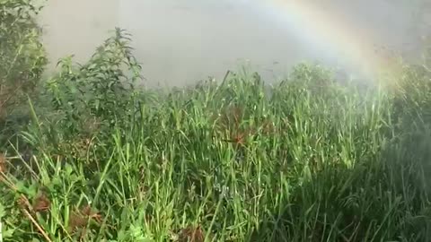artificial rainbow