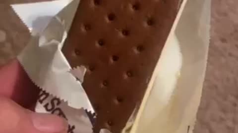 Braun’s ice cream sandwich.