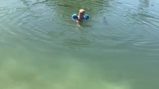 Mr Rhett Swimming in the Backyard Aquarium