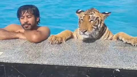 Guy with his lion swimming together