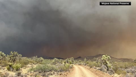 York Fire sweeps across 77,000 acres into Nevada, still 'zero percent contained'