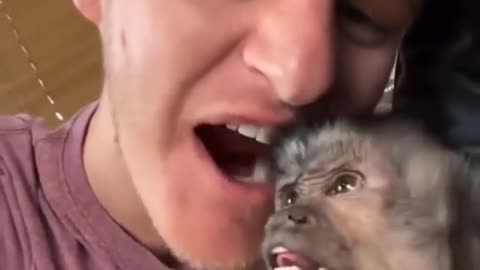 Some guy nibbles on a monkey's ear