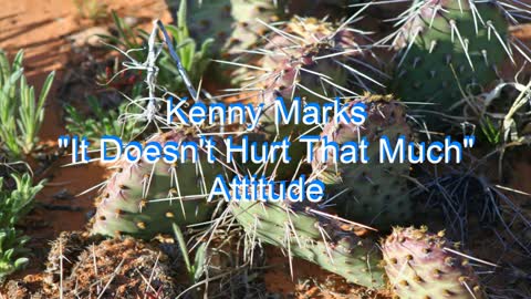 Kenny Marks - It Doesn't Hurt That Much #169