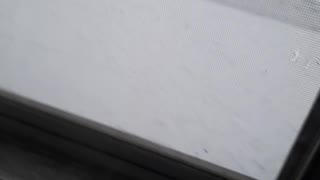 Snow in Canada