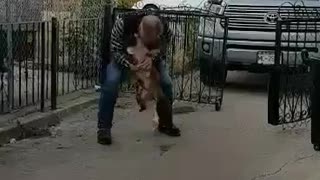 Thor goes crazy when Dad comes home from a trip