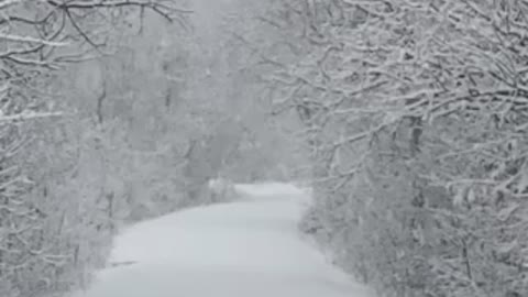 First footprints in fresh powder