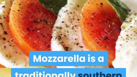 Mozzarella Mozzarella.27