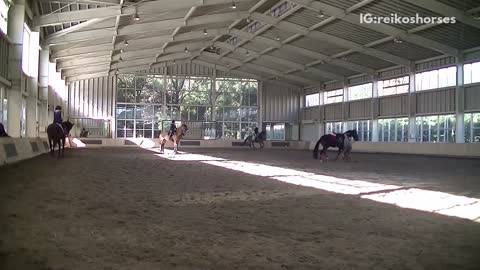 Girl in grey shirt falls off horse