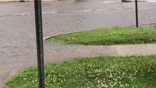 Floods Rage Through Main Street