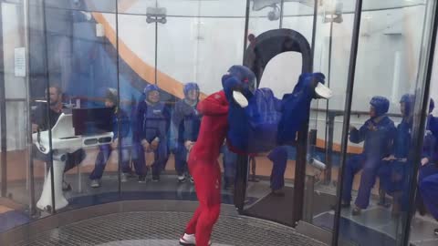 IFLY RIPCORD ANTHEM OF THE SEAS