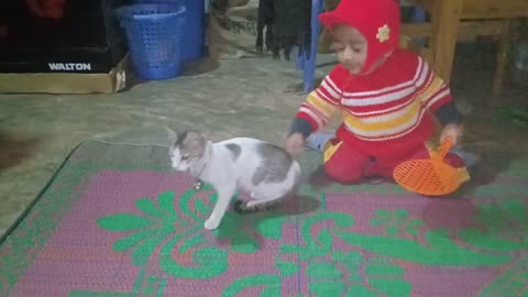 Baby and cat fun and fails
