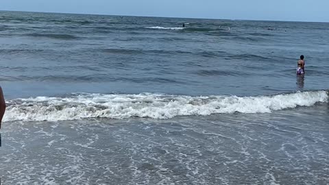 Beach at Sayulita