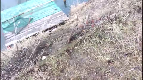 Grenades Fishing By Russian Servicemen In Donetsk Oblast Of Ukraine, Feb 5 2015