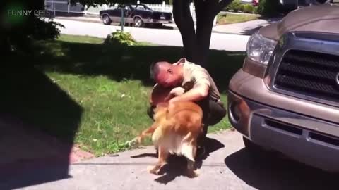 Dog Meets Owner After A Long Time- Unbreakable Bond