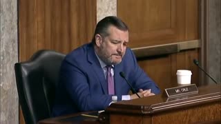 "I Don't Find That Answer Remotely Credible": Ted Cruz Grills Biden Nominee On Birth Tourism