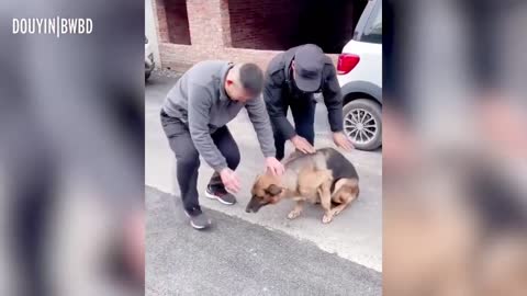 Former Police Dog 'Cries' After Reuniting With Owner She Hasn't Seen For Years