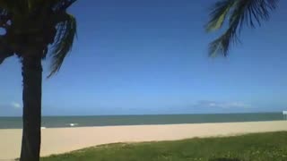 Amazing view on the beach from the side of two coconut trees [Nature & Animals]