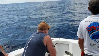 Sail Fishing in Cancun