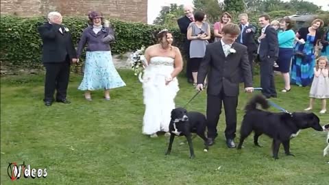 The worst falls in weddings