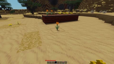 Minetest Mod Review: Flower Beds