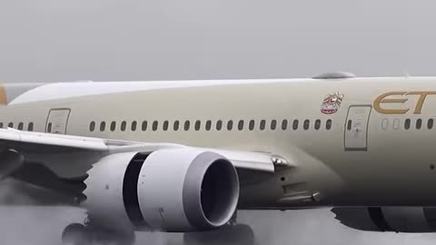 Dreamliner gets WING FLUFF on Landing!
