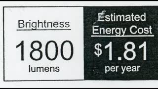 KODO 120-Watt Equivalent PAR38 LED Motion Sensor Flood Light Bulb Daylight 2Pack (09-2019)