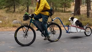 Carver 420L Rohloff/Gates drive and Ibex/Burley DIY trailer plus Belle Marie