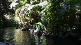 Jungle Cruise attraction Disneyland 4K low light POV