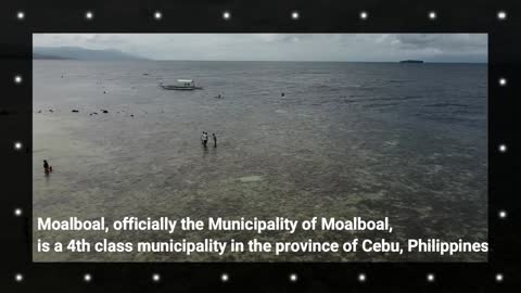 Moalboal - Cebu I Philippines
