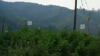 Campesinos de Cauca denunciaron que están atrapados en medio de combates entre Ejército y Eln