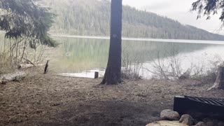 Campsite #10 – BEST Drive-In Site – Link Creek Campground – Suttle Lake – Central Oregon – 4K