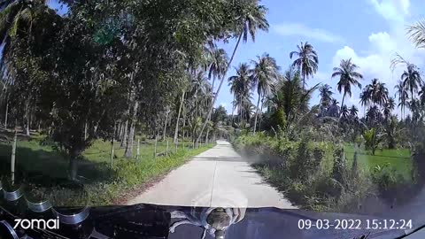 Snake Removed Via Windshield Wiper