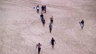 Surfer dies in shark attack off Australian beach