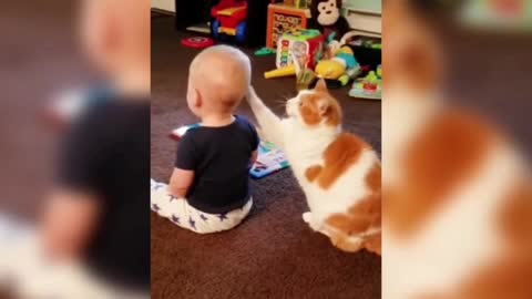 Pussycat and baby, pussycat has been trained.