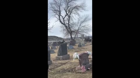 Woman receives emotional sign at her boyfriend's grave