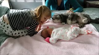 Little girl introduces dog to new baby sister