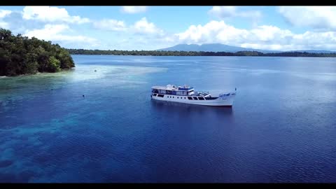 Beach Stock Footage | Drone | Nature Beauty | Sea View - Free HD Videos