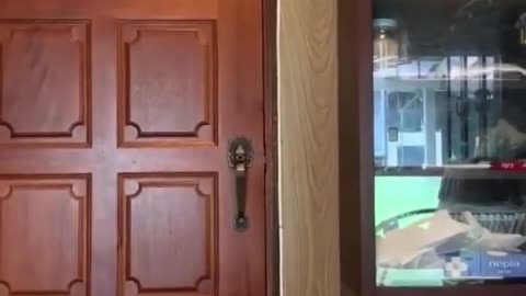 "Clever Cat Cracks the Code: Mastering the Art of Door Opening!"