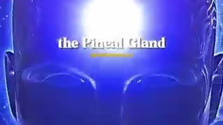 The Pineal Gland & It’s Importance To Us🤔