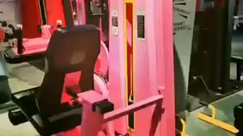 THE CAT IS WORKING IN THE GYM