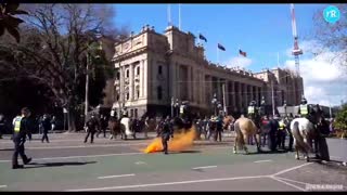 2021: Australia video compilation of Covid protests