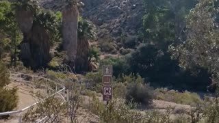 VISITING JOSHUA TREE NATIONAL PARK IN PALM SPRINGS CALIFORNIA 1