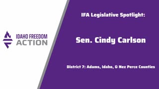 IFA Cindy Carlson Interview