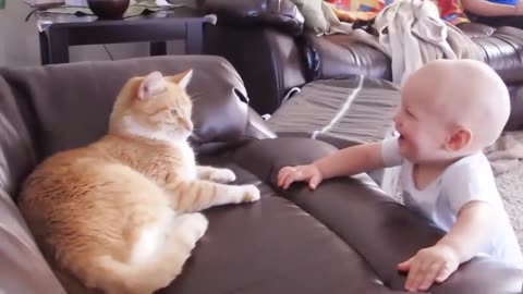 Baby And Cat Fun And Cute #5 - Funny Baby Videos