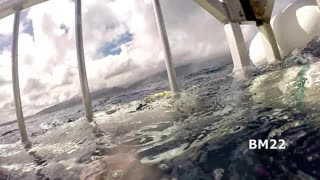 Sharks in Hawaii: Shark Cage Dive
