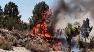 vehicle FIRE damage from a California wildfire.