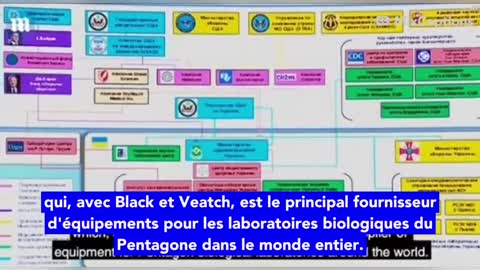 Liens entre Hunter Biden, le Pentagone et les Bio Labs Ukrainiens: