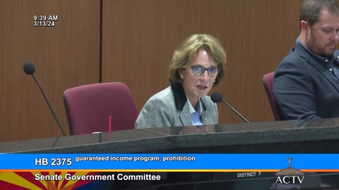Senator Wendy Rogers Votes Vehemently Against "Guaranteed Basic Income"