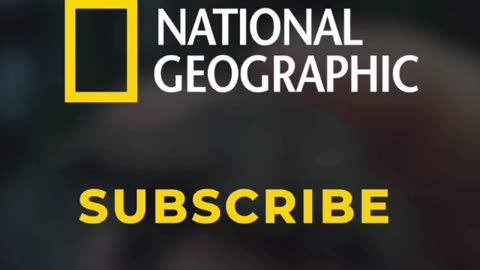 National Geographic is now on Telegram!